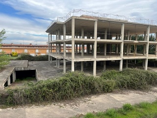 LA BARRILLA Y LAS LONGUILLAS 13