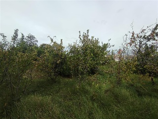 DS CR LOGROÑO TR DEL OLIVAR 16