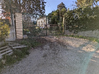 DS CR LOGROÑO TR DEL OLIVAR 19