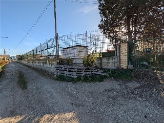 DS CR LOGROÑO TR DEL OLIVAR 20