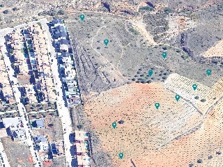 PAGO DE LA PIEDRA DE LOS CUARTILLOS 13