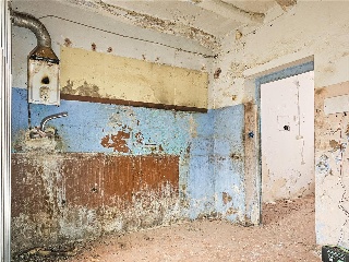 WIFREDO EL VELLOSO 8