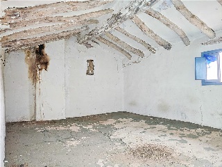 WIFREDO EL VELLOSO 13