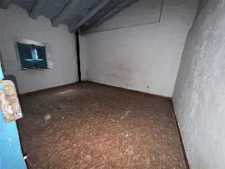 WIFREDO EL VELLOSO 14