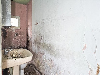 WIFREDO EL VELLOSO 18