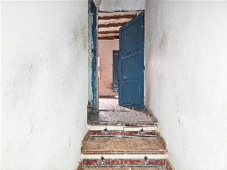 WIFREDO EL VELLOSO 19