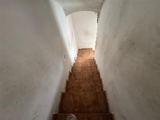 WIFREDO EL VELLOSO 21