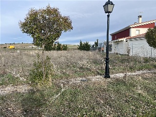SAN ROQUE 7