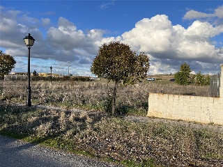 SAN ROQUE 10
