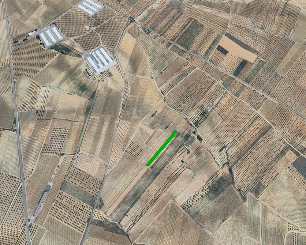 Suelo rústico en Los Corrales - Utiel - Valencia