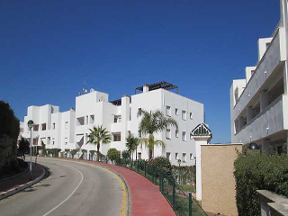 GERANIO DE MIRAFLORES 2