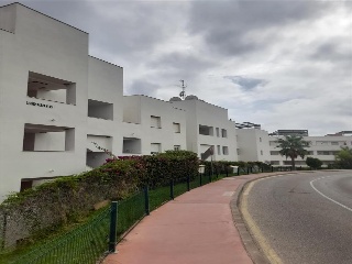 GERANIO DE MIRAFLORES 3