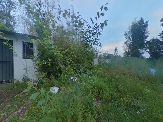 Proc. Simplificado 22