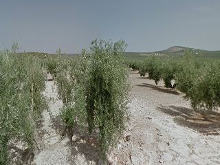 Pisos banco Torredonjimeno