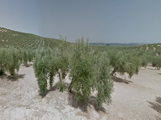 Pisos banco Torredonjimeno