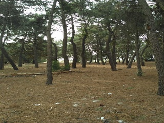 Pisos banco Boecillo