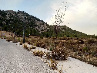 Solana Parcelas Ado 3