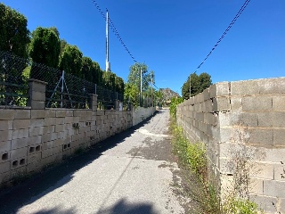 Partida El Chorrillo 5