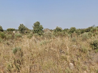 Campo Redondo 3