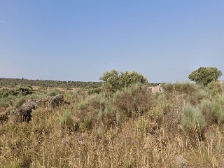 Campo Redondo 6