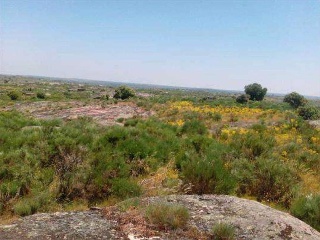 Campo Redondo 8
