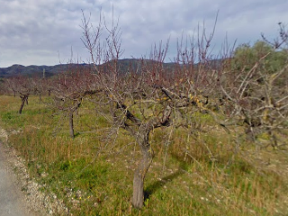 Mas Boira, Parcela 55 Polígono 30 5