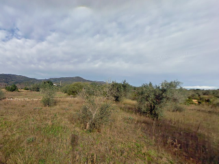 Mas Boira, Parcela 55 Polígono 30 6