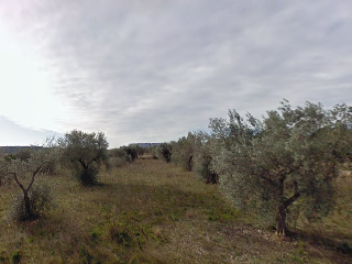 Mas Boira, Parcela 55 Polígono 30 8