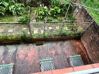 RIBEIRO DO 8