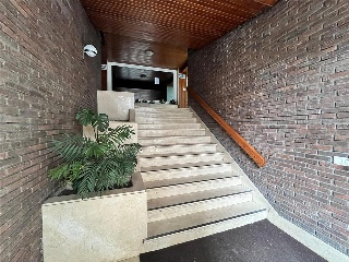 RIBEIRO DO 46