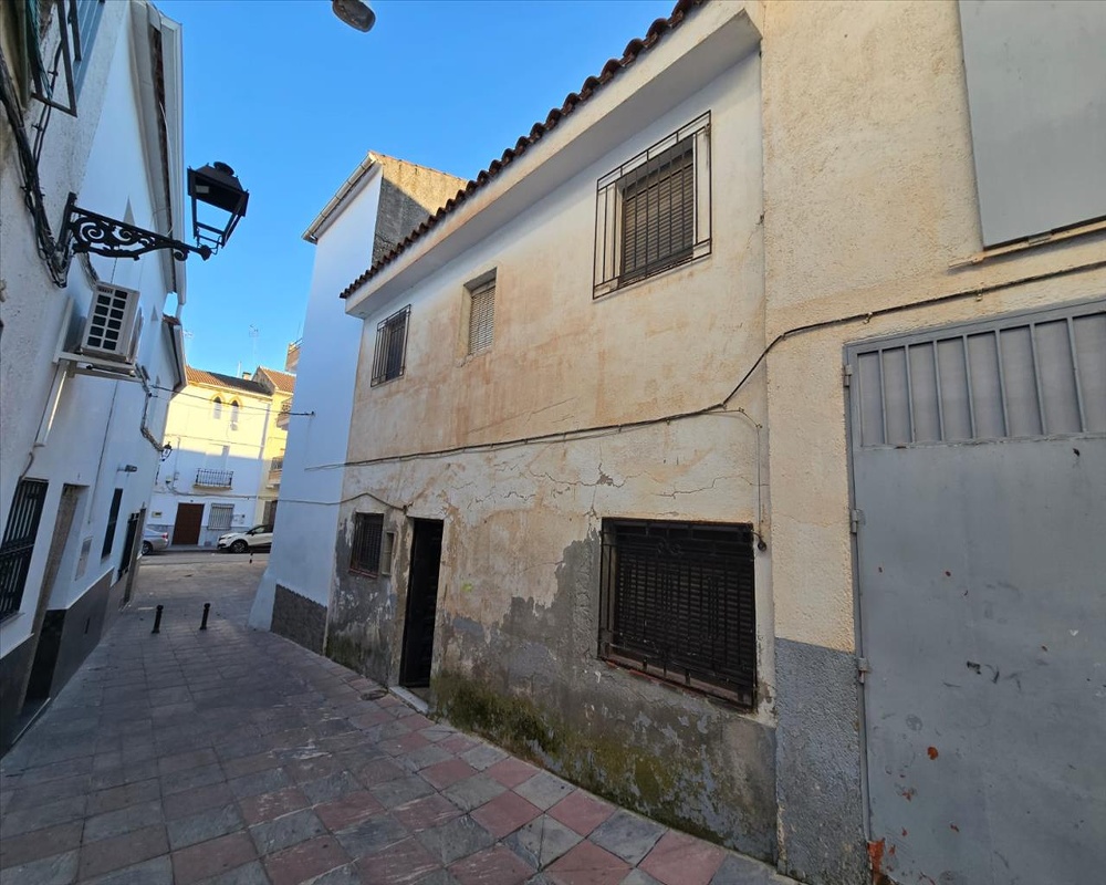 Calle Ocon