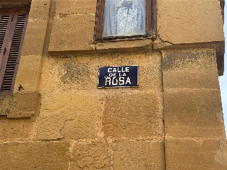 ROSA 2