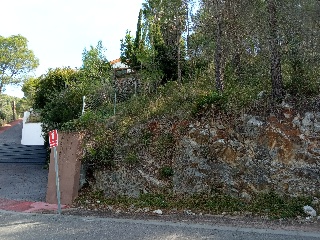 Mont Negre Del 3