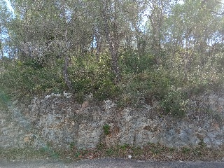 Mont Negre Del 5