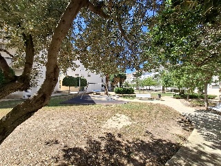 CL CAMI DE L'ALGAR 20