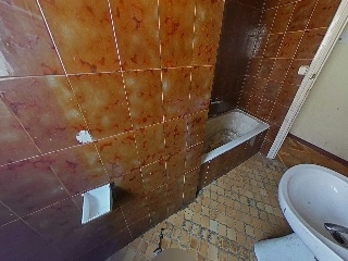 FERNANDO EL MAGNO 15