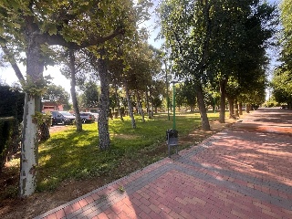 Doctor Juan Fco Higueras 7