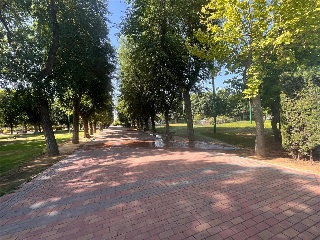 Doctor Juan Fco Higueras 8