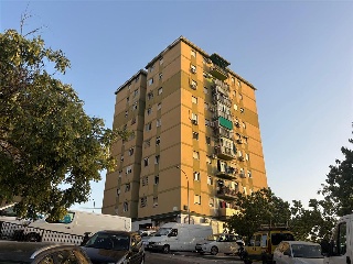 Genoveses 6