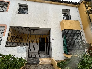 Algodonales 2