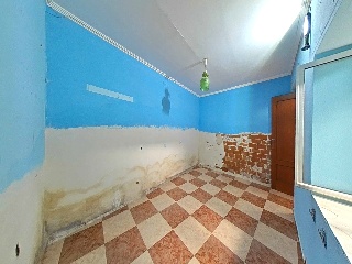 Carneros 5