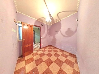 Carneros 20