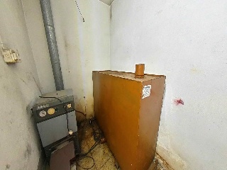 Carneros 29