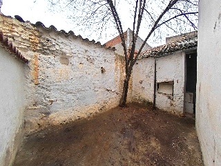 Carneros 33