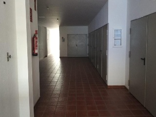 Diego De Los Reyes 6