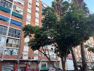 Hoyo Higueron 5