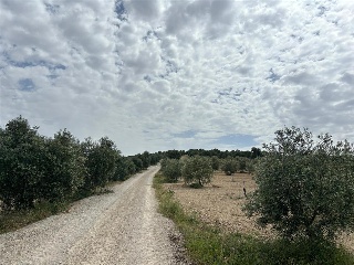 De La Doctora 2
