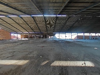 Torrenueva 5