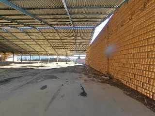 Torrenueva 6
