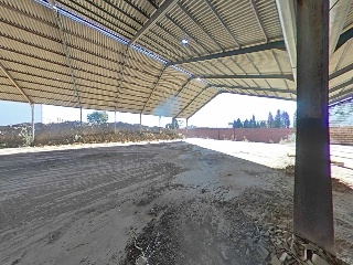 Torrenueva 7